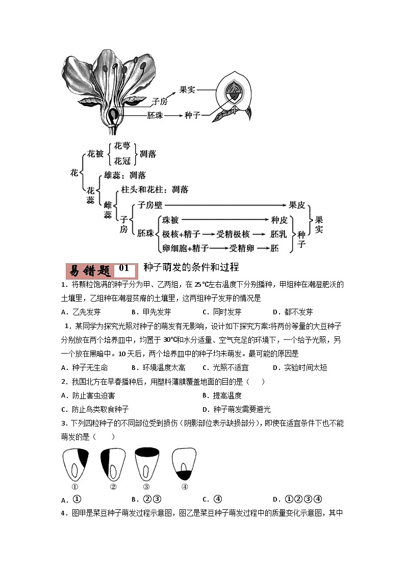 易错点04 被子植物的一生-2024年中考生物考试易错题（原卷版）第3页
