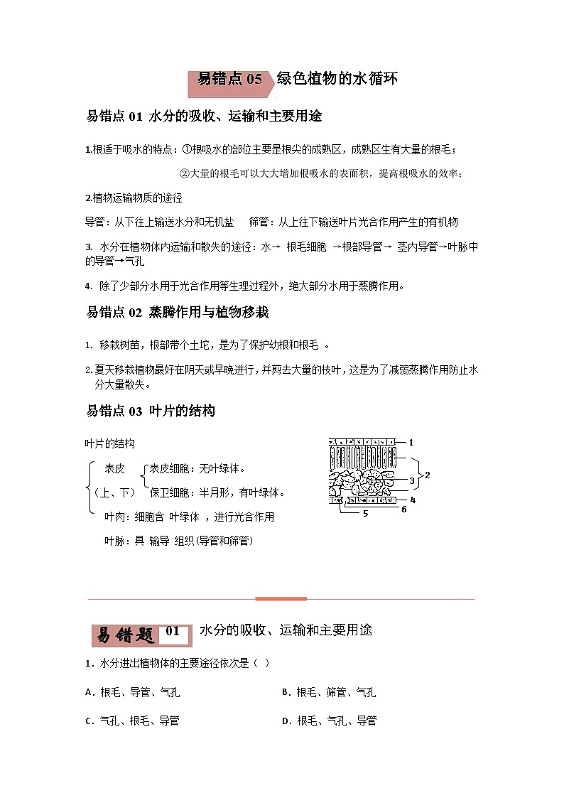 易错点05 绿色植物的水循环-2024年中考生物考试易错题（原卷版）第1页