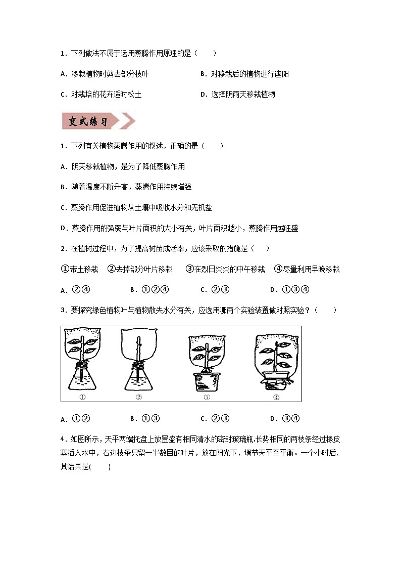 易错点05 绿色植物的水循环-2024年中考生物考试易错题（原卷版）第3页