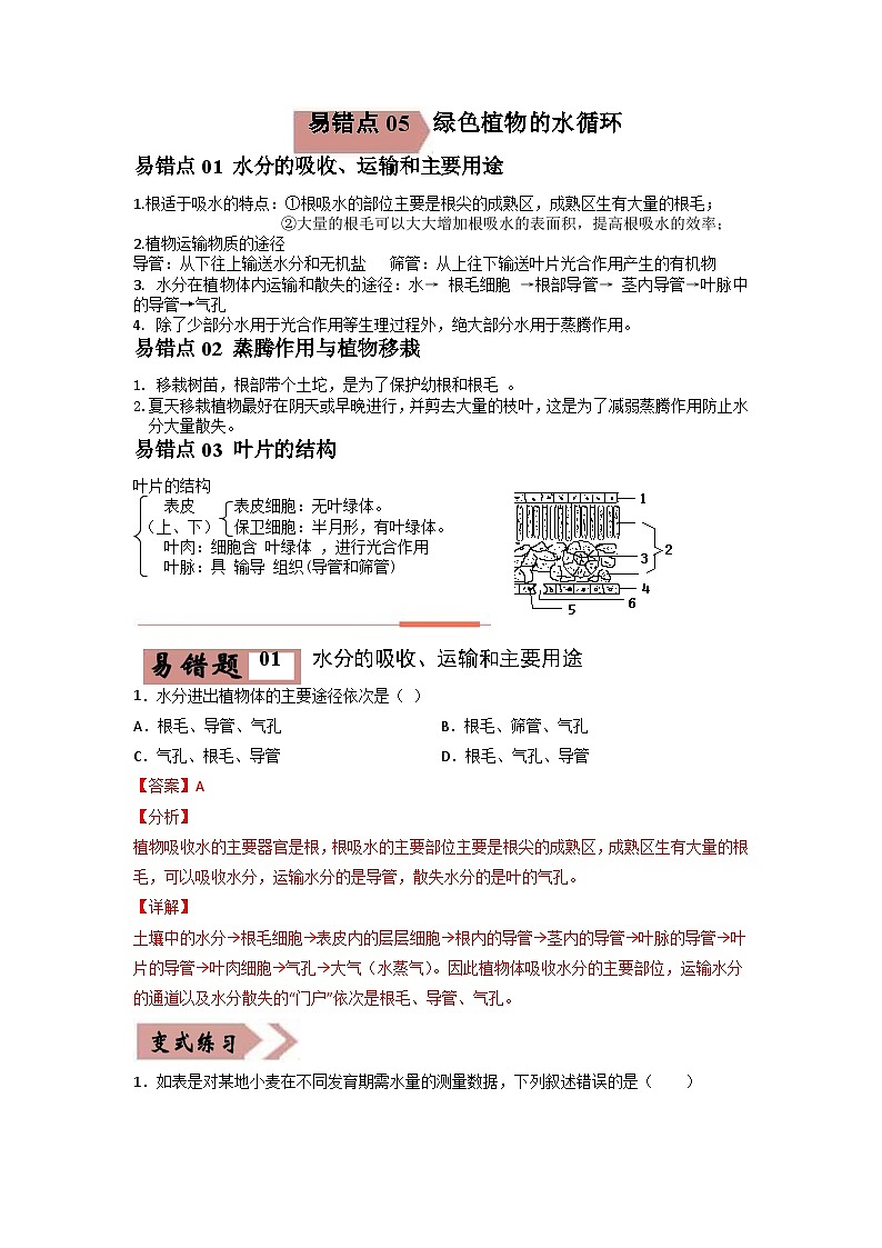 易错点05 绿色植物的水循环-2024年中考生物考试易错题（解析版）第1页