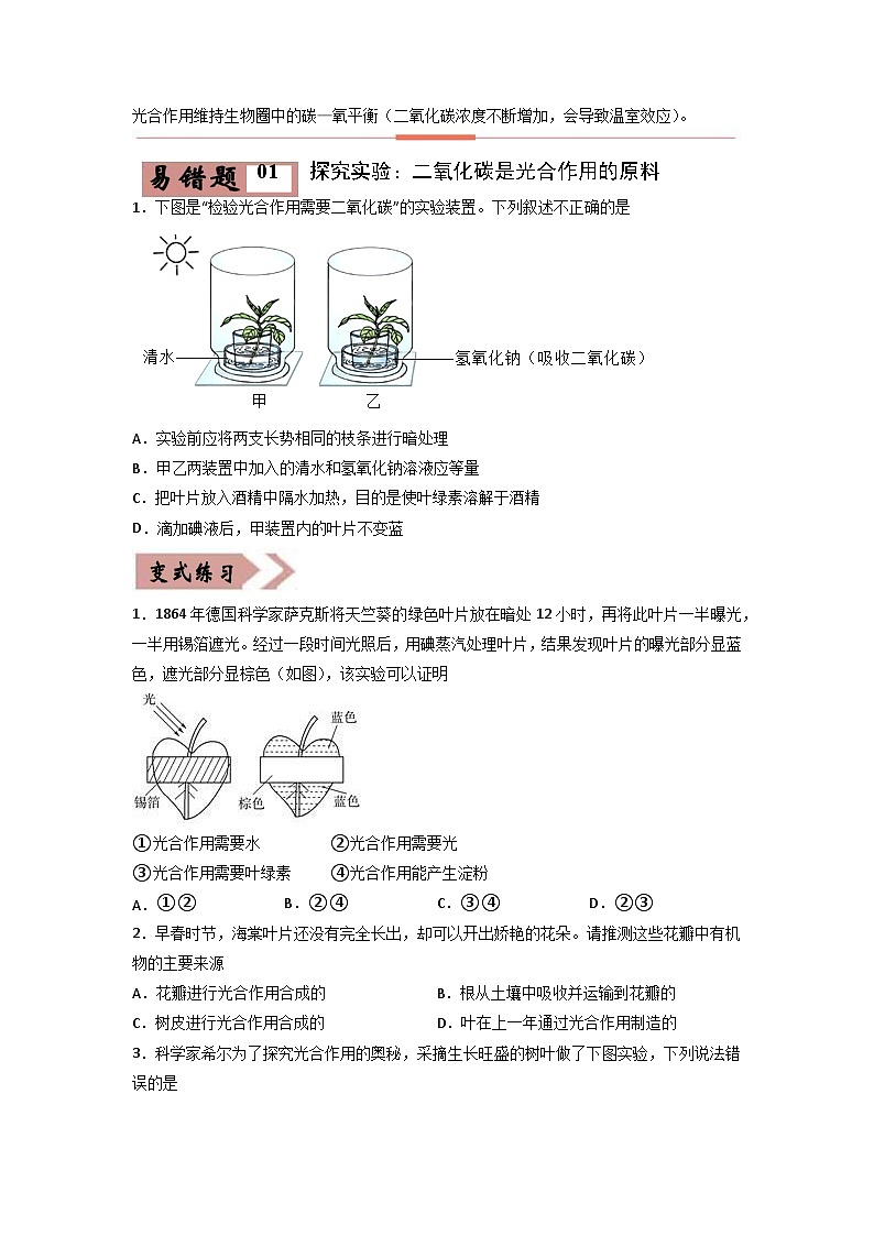 易错点06 光合作用和呼吸作用-2024年中考生物考试易错题（原卷版）第2页