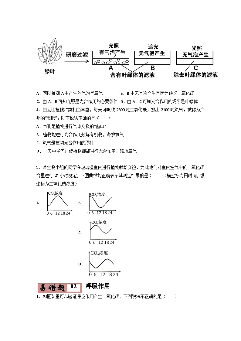 易错点06 光合作用和呼吸作用-2024年中考生物考试易错题（原卷版）第3页