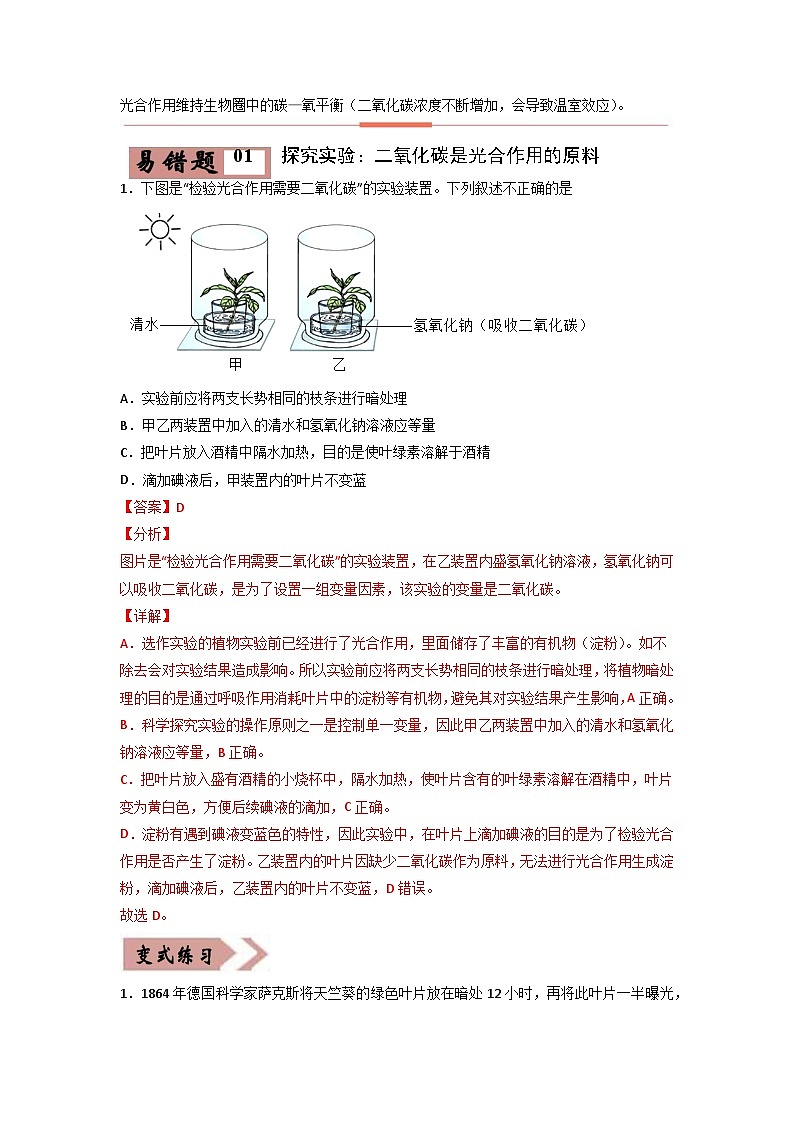 易错点06 光合作用和呼吸作用-2024年中考生物考试易错题（解析版）第2页