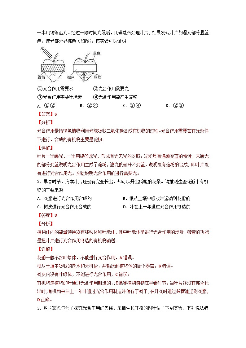 易错点06 光合作用和呼吸作用-2024年中考生物考试易错题（解析版）第3页