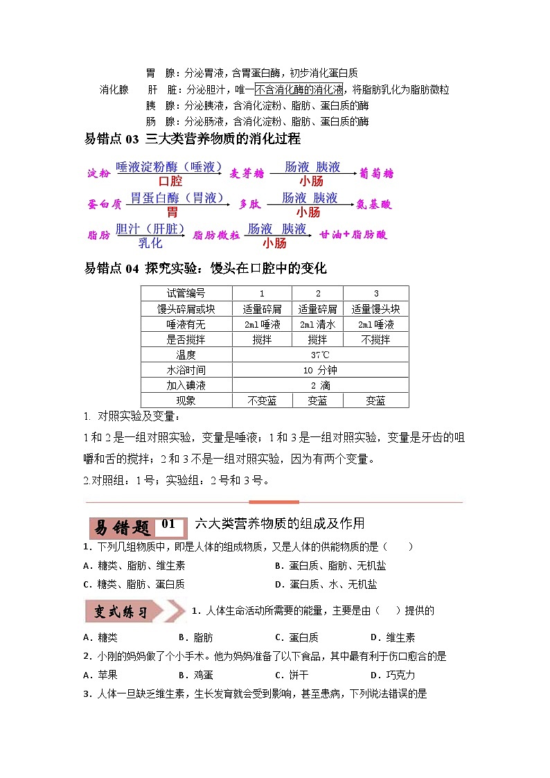2024年中考生物考试易错点08 人体的营养（原卷版＋解析版）02