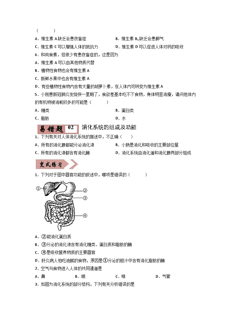 2024年中考生物考试易错点08 人体的营养（原卷版＋解析版）03