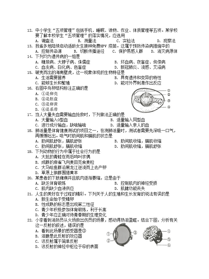 2024年海南省中考模拟（四）生物试题第2页