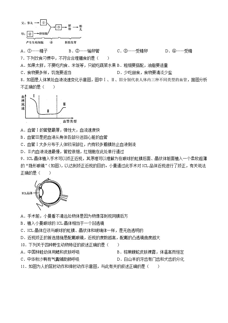 2024年河南省信阳市平桥区八年级中考三模生物试题02