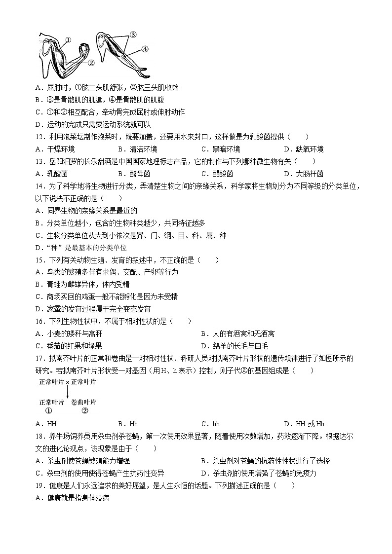 2024年河南省信阳市平桥区八年级中考三模生物试题03