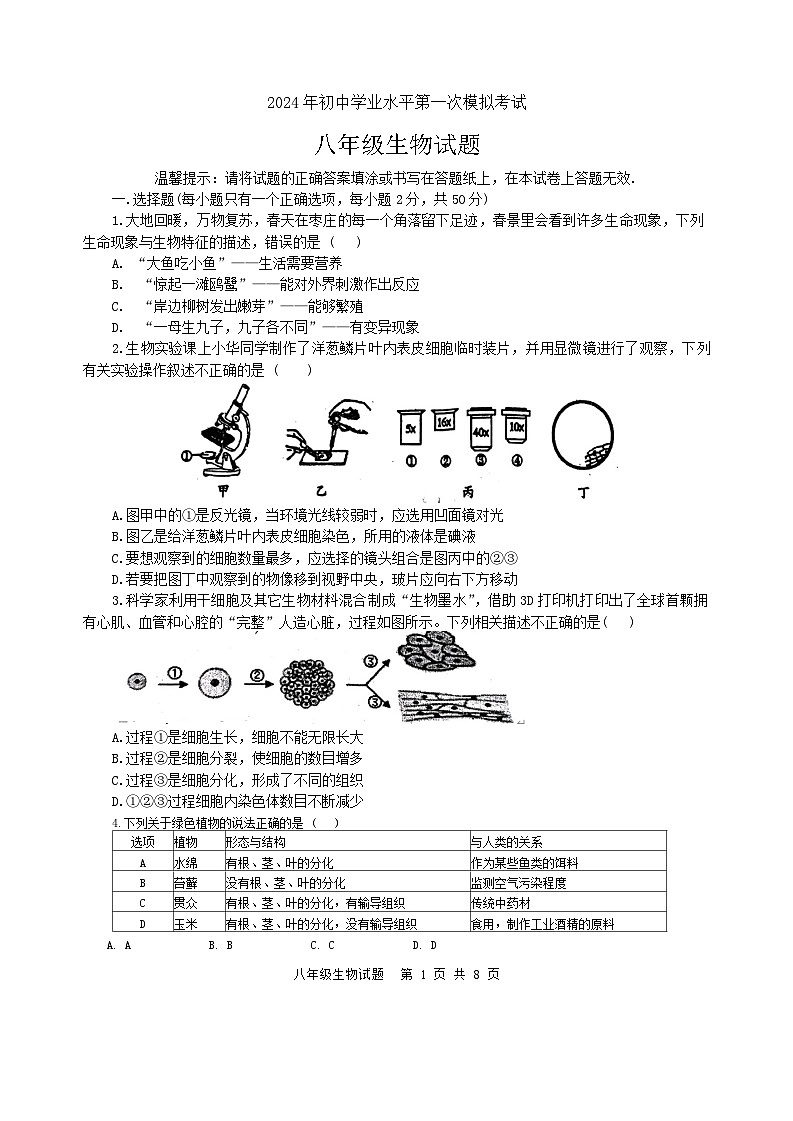 2024年山东省枣庄市市中区初中学业水平第一次模拟考试八年级生物试题第1页