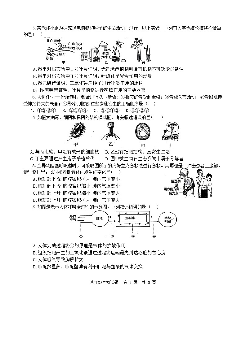 2024年山东省枣庄市市中区初中学业水平第一次模拟考试八年级生物试题第2页