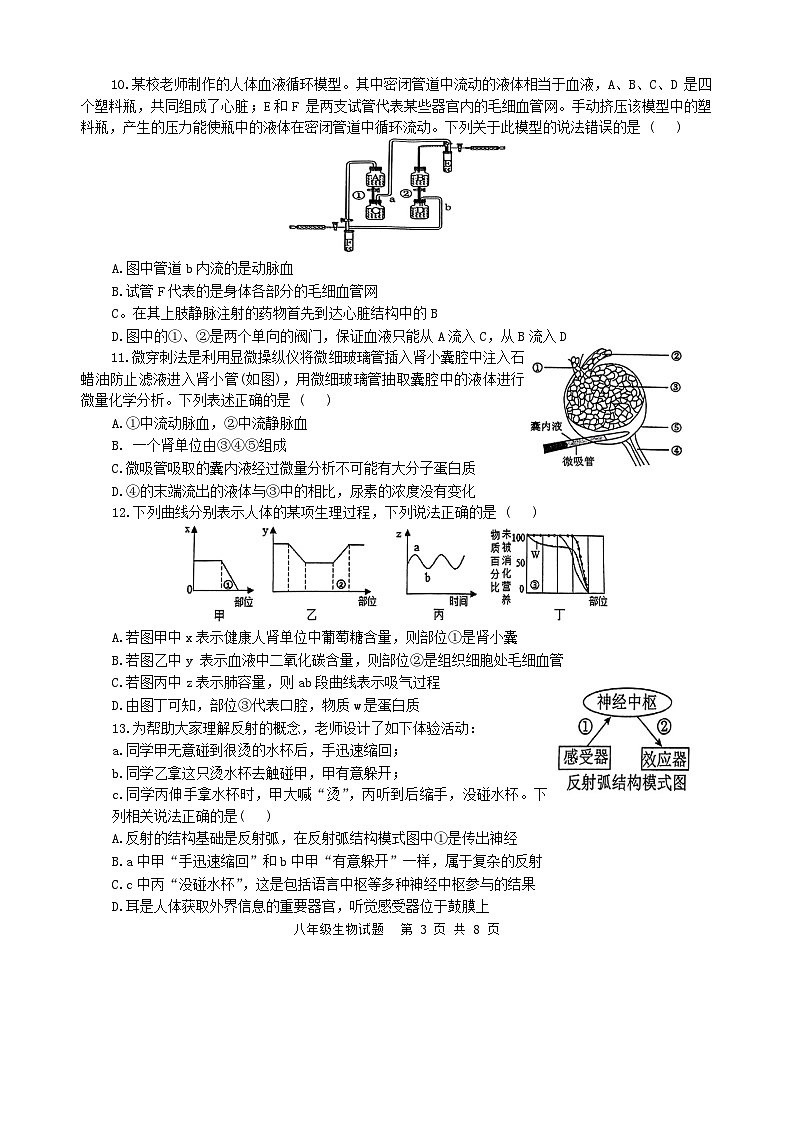 2024年山东省枣庄市市中区初中学业水平第一次模拟考试八年级生物试题第3页