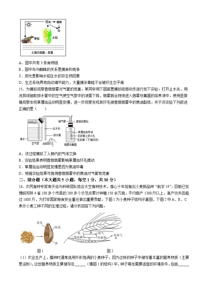 2024年广西柳州市初中学业水平考试模拟卷（二）生物03