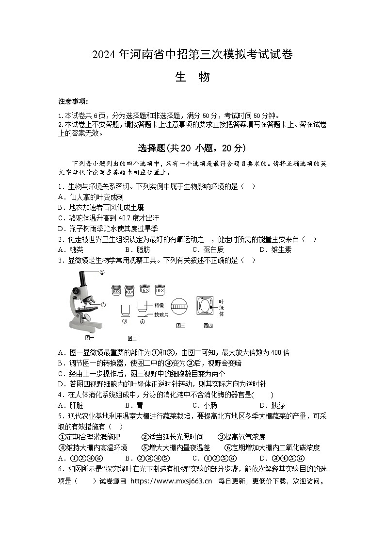 2024年河南省信阳市淮滨县中考三模生物试题01