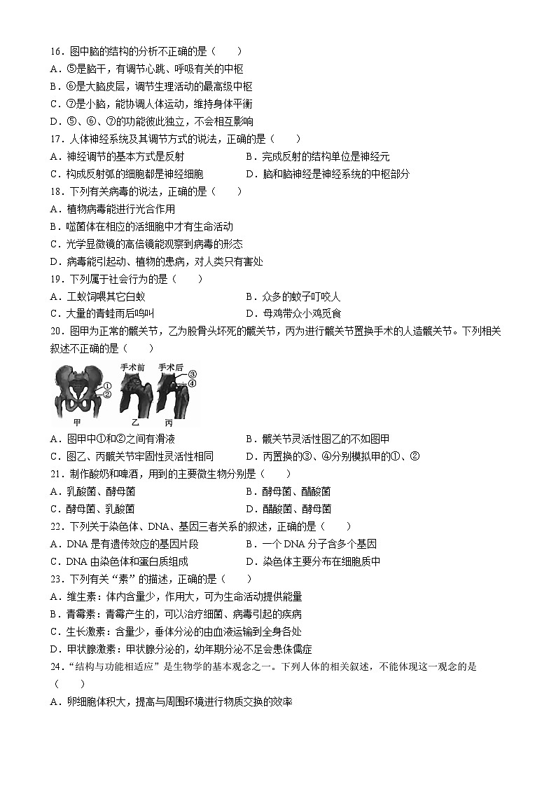 2024年福建省八年级多校联考中考模拟测试生物试题(无答案)第3页