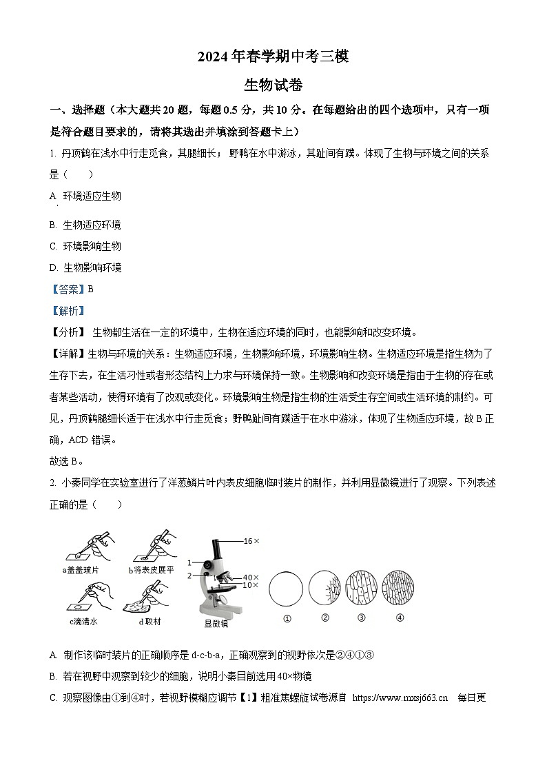 2024年江苏省盐城市大丰区八年级中考三模生物试题01