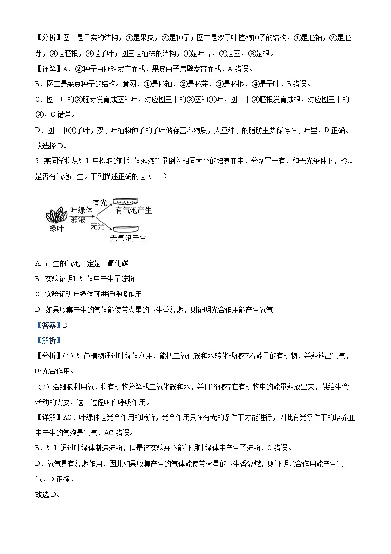 2024年江苏省盐城市盐都区中考三模生物试题第3页