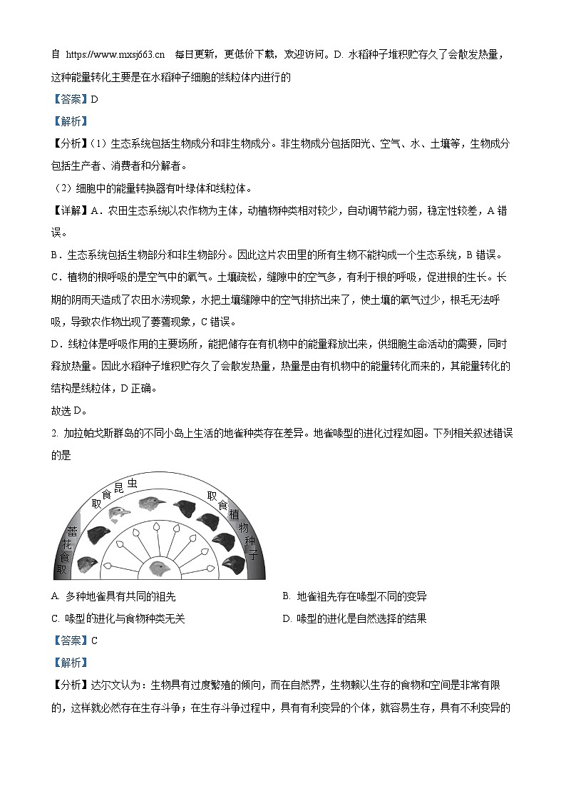 2024年四川省泸州市龙马潭区九年级二模生物试题02