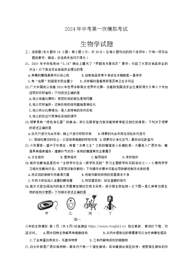 2024年广西壮族自治区玉林市容县中考一模生物试题01