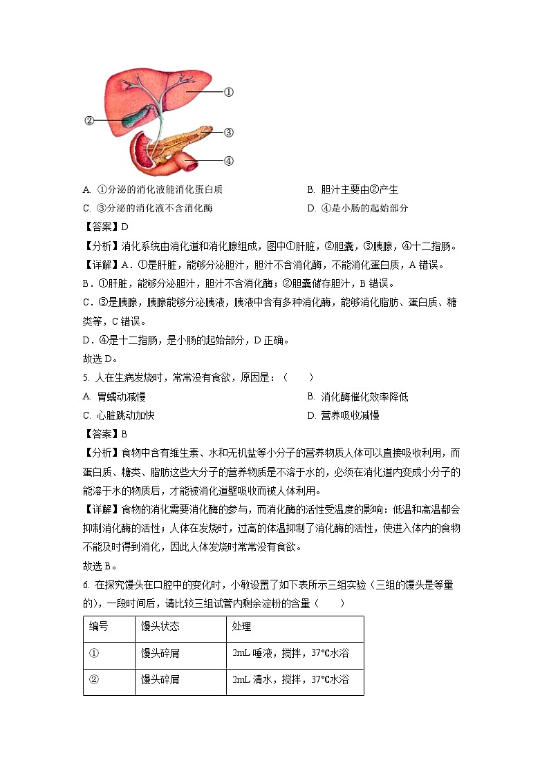 生物：山东省济宁市泗水县2023-2024学年七年级下学期期中试题（解析版）03