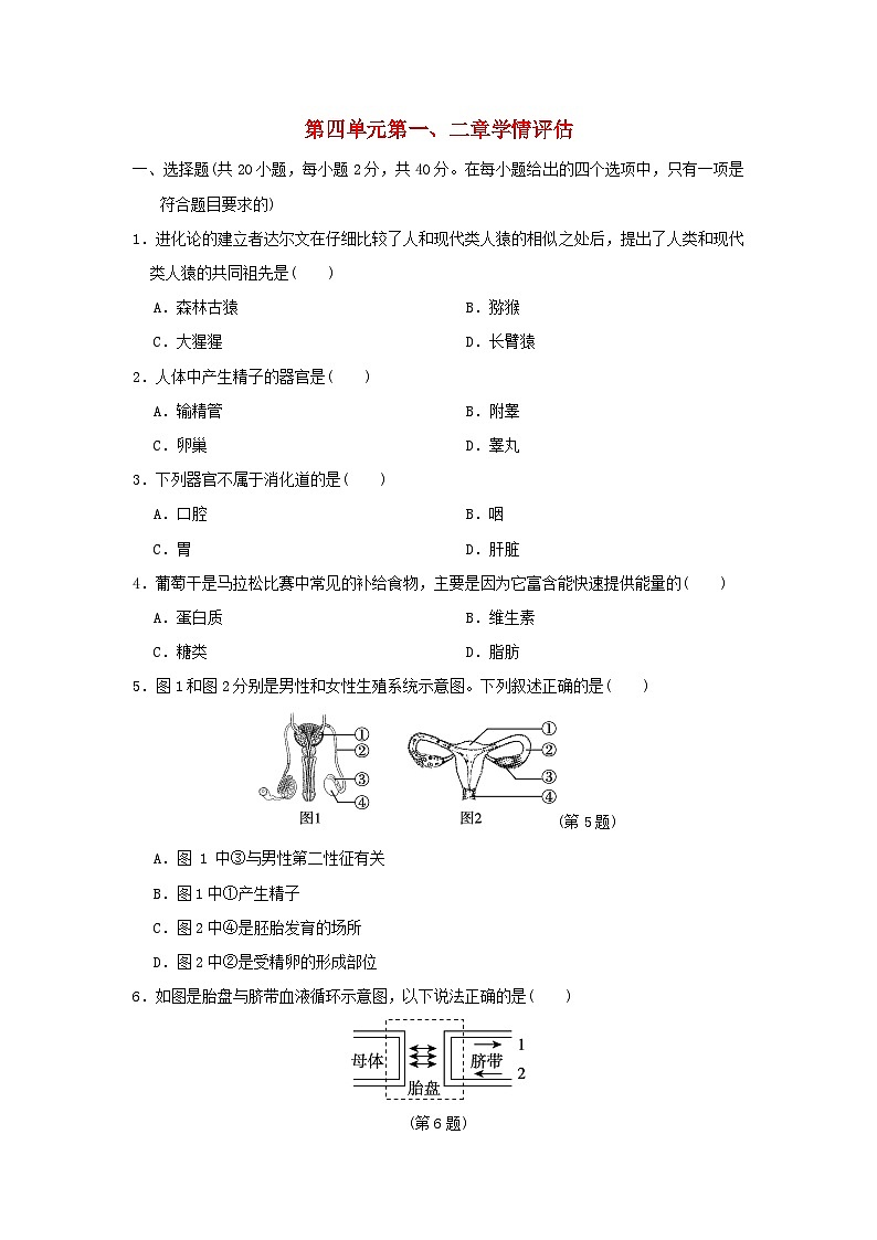 福建省2024七年级生物下册第四单元生物圈中的人第一二章学情评估试卷（附答案人教版）01