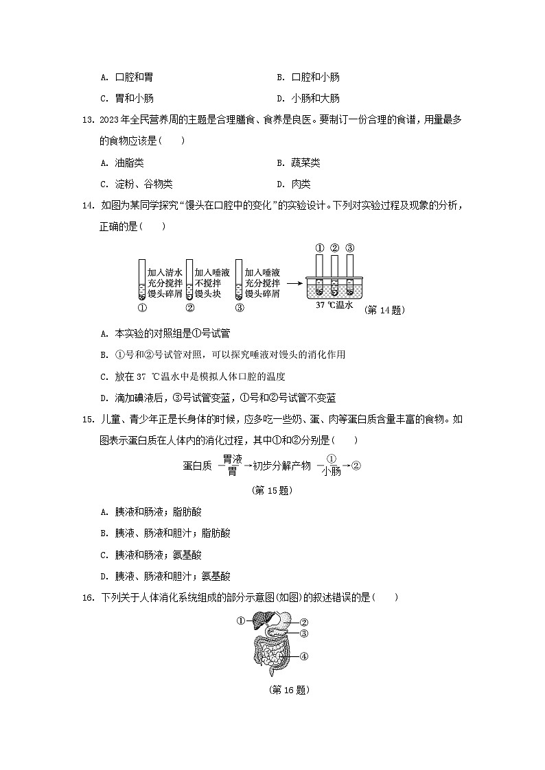 2024七年级生物下册第四单元生物圈中的人第一二章学情评估试卷1（附答案人教版）03