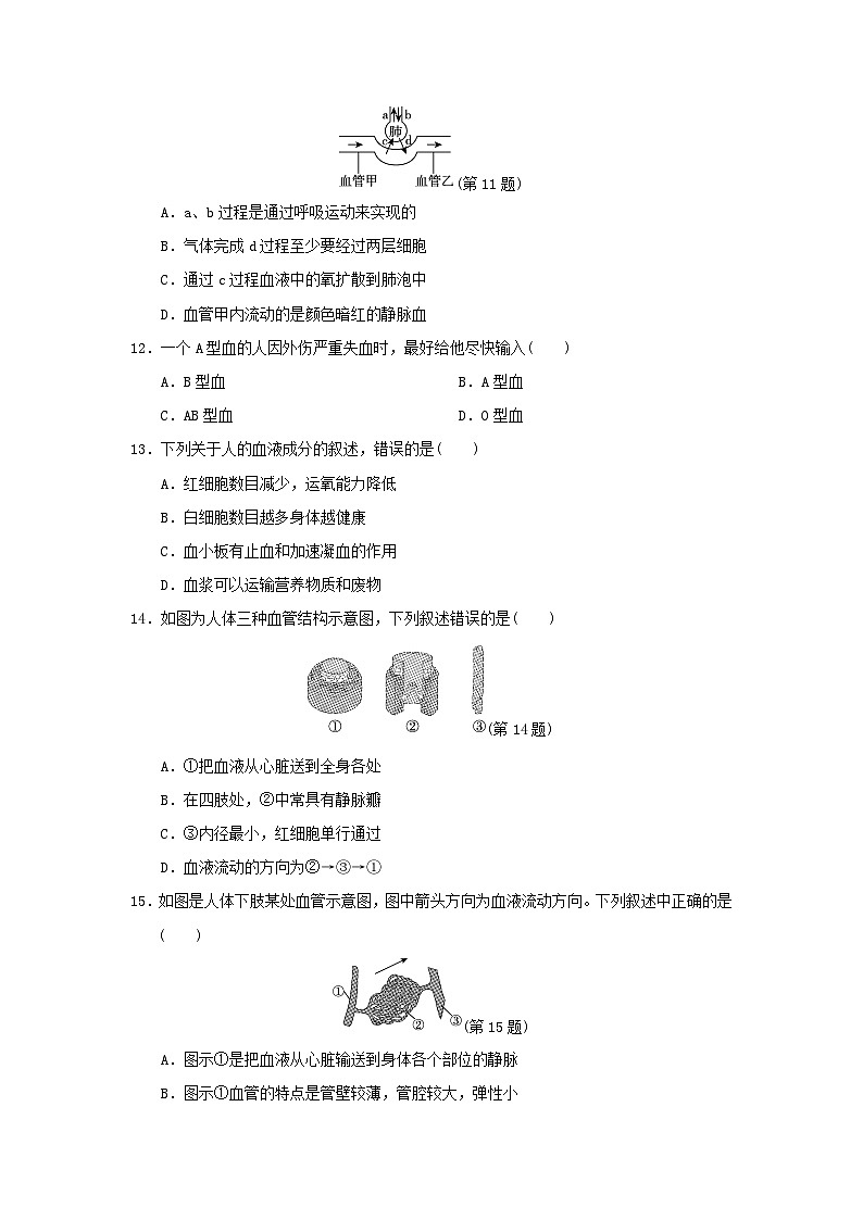 福建省2024七年级生物下册第四单元生物圈中的人第三四章学情评估试卷（附答案人教版）03