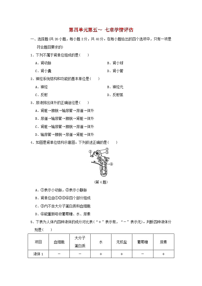 福建省2024七年级生物下册第四单元生物圈中的人第五至七章学情评估试卷（附答案人教版）01