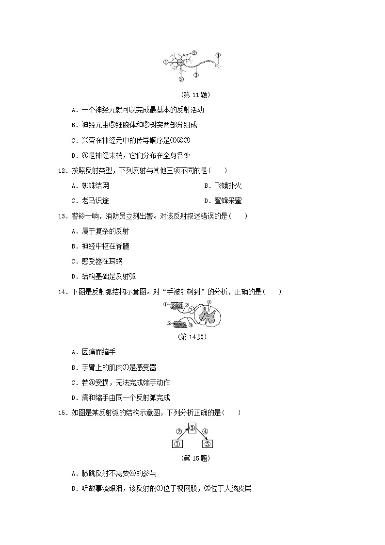 福建省2024七年级生物下册第四单元生物圈中的人第五至七章学情评估试卷（附答案人教版）03