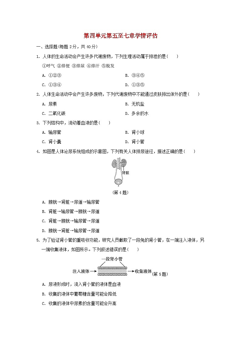 2024七年级生物下册第四单元生物圈中的人第五至七章学情评估试卷1（附答案人教版）01