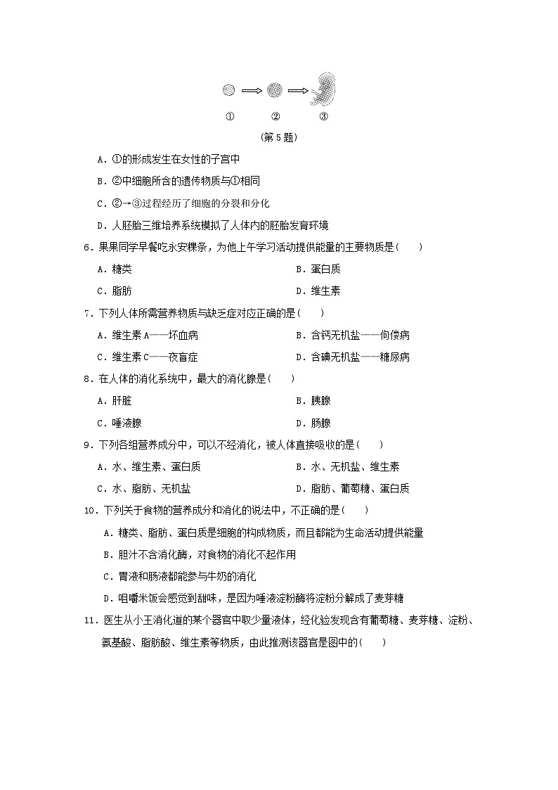 福建省2024七年级生物下学期期中学情评估试卷（附答案人教版）02
