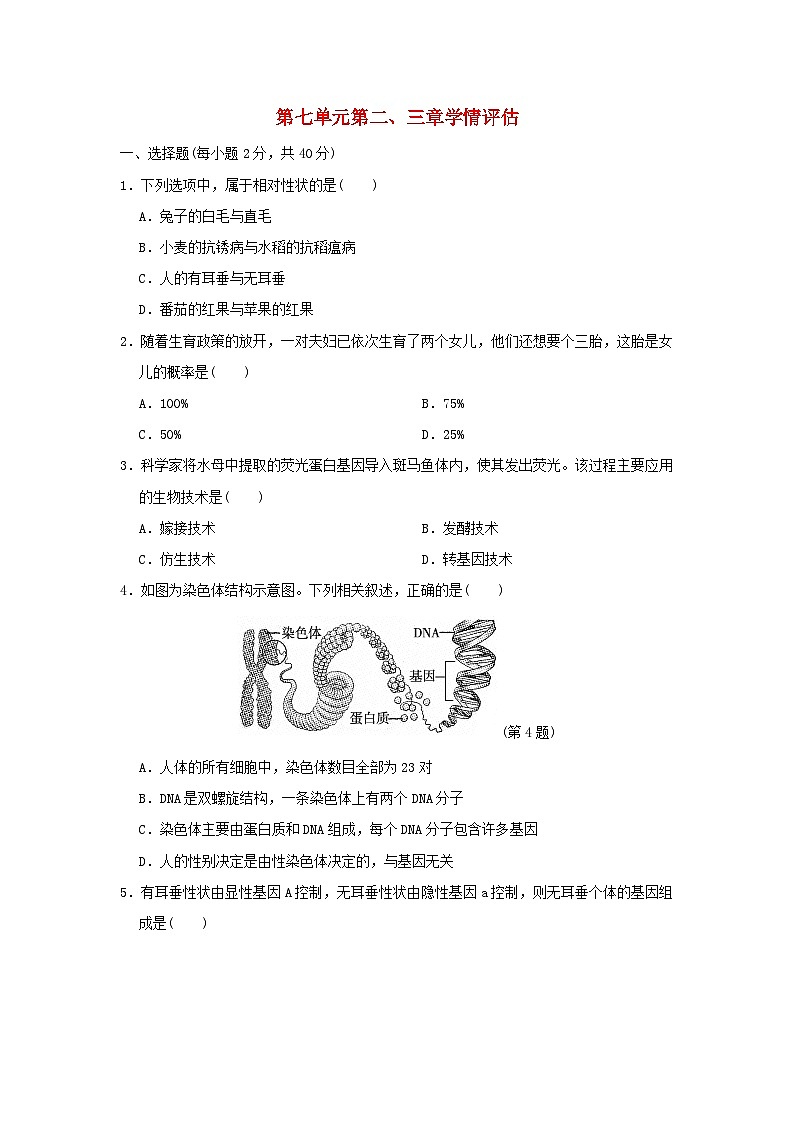 福建省2024八年级生物下册第七单元生物圈中生命的延续和发展第二三章学情评估试卷（附答案人教版）第1页