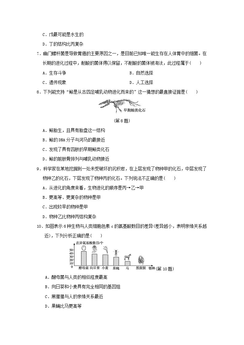 2024八年级生物下册第七单元生物圈中生命的延续和发展第三章生命起源和生物进化学情评估试卷（附答案人教版）02