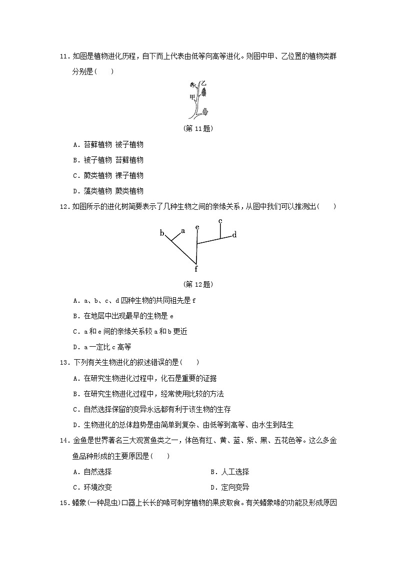 2024八年级生物下册第七单元生物圈中生命的延续和发展第三章生命起源和生物进化学情评估试卷（附答案人教版）03