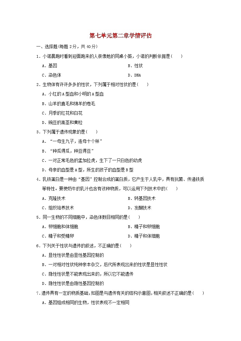 2024八年级生物下册第七单元生物圈中生命的延续和发展第二章生物的遗传和变异学情评估试卷（附答案人教版）01