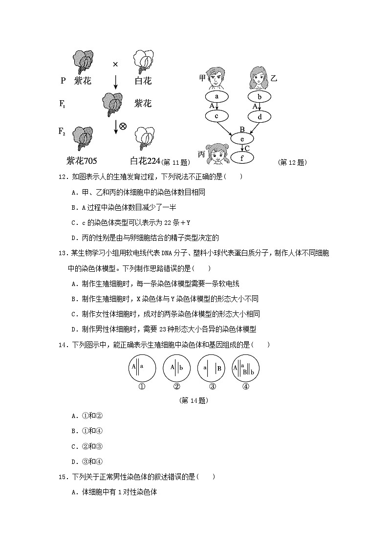 2024八年级生物下册第七单元生物圈中生命的延续和发展第二章生物的遗传和变异学情评估试卷（附答案人教版）03