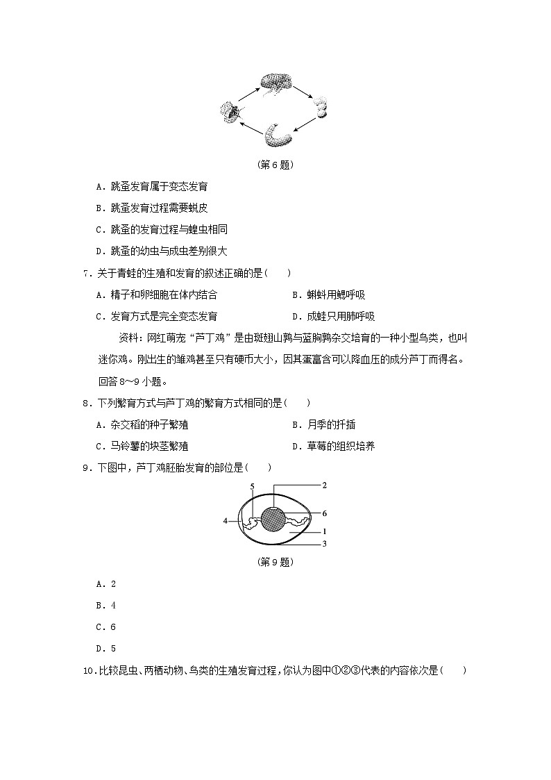 福建省2024八年级生物下学期期中学情评估试卷（附答案人教版）02