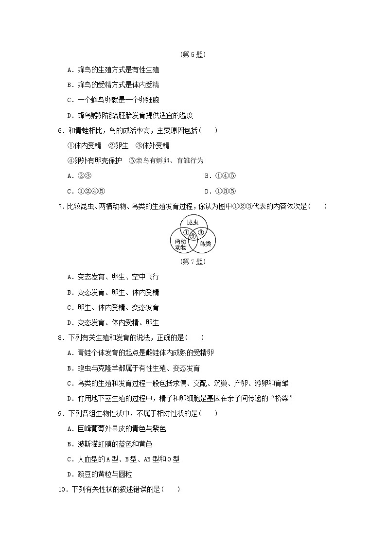 2024八年级生物下学期期中学情评估试卷（附答案人教版）02