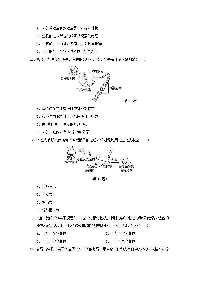 2024八年级生物下学期期中学情评估试卷（附答案人教版）03