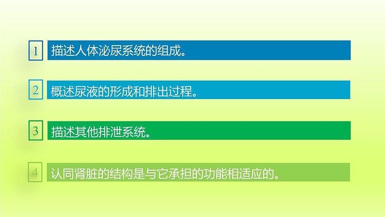 七下生物第四单元生物圈中的人第五章人体内废物的排出课件（人教版）第3页