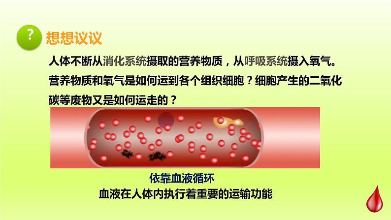 七下生物第四单元生物圈中的人第四章人体内物质的运输第一节流动的组织__血液课件（人教版）01