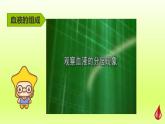 七下生物第四单元生物圈中的人第四章人体内物质的运输第一节流动的组织__血液课件（人教版）