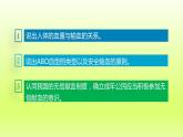 七下生物第四单元生物圈中的人第四章人体内物质的运输第四节输血与血型课件（人教版）