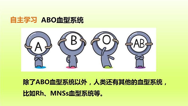 七下生物第四单元生物圈中的人第四章人体内物质的运输第四节输血与血型课件（人教版）08