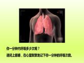 七下生物第四单元生物圈中的人第三章人体的呼吸第二节发生在肺内的气体交换课件（人教版）