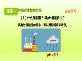 七下生物第四单元生物圈中的人第七章人类活动对生物圈的影响第二节探究环境污染对生物的影响课件（人教版）