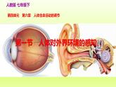 七下生物第四单元生物圈中的人第六章人体生命活动的调节第一节人体对外界环境的感知课件（人教版）