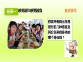 七下生物第四单元生物圈中的人第六章人体生命活动的调节第一节人体对外界环境的感知课件（人教版）