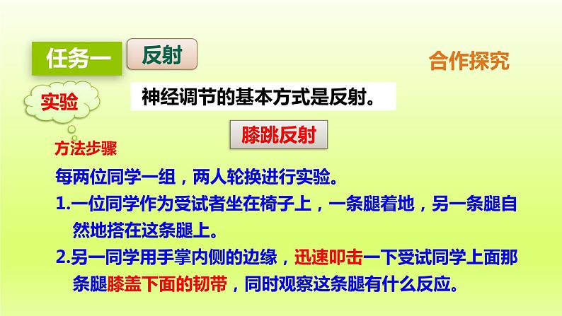 七下生物第四单元生物圈中的人第六章人体生命活动的调节第三节神经调节的基本方式课件（人教版）04