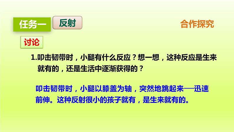 七下生物第四单元生物圈中的人第六章人体生命活动的调节第三节神经调节的基本方式课件（人教版）06